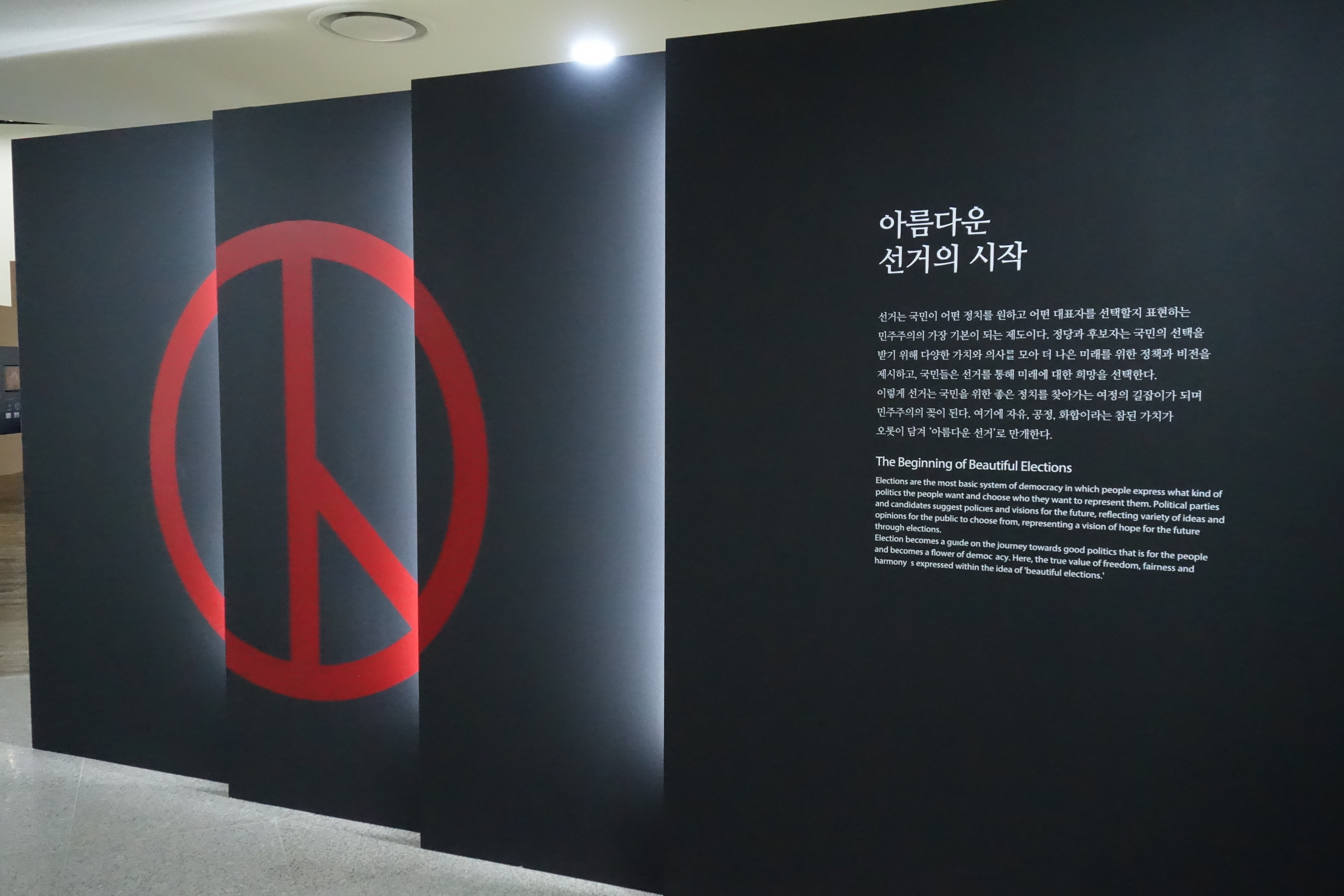 선거, 대한민국을 만들다