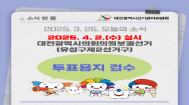 대전광역시의회의원보궐선거 투표용지 검수